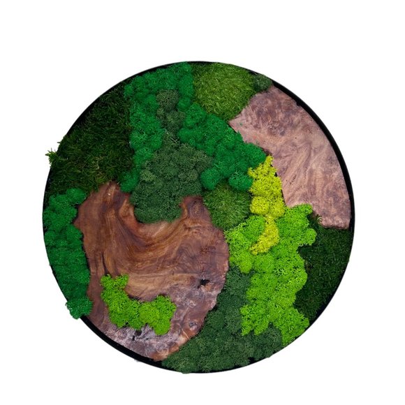 Evergreen Oasis Cedar Wood and Preserved Moss Wall Art - Handcrafted 12x12x1 Inc - Picture 8 of 10